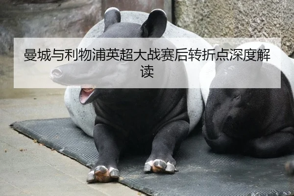 曼城与利物浦英超大战赛后转折点深度解读